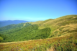 bieszczady,tarnica,榉木berdo