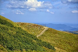 bieszczady,tarnica,榉木berdo