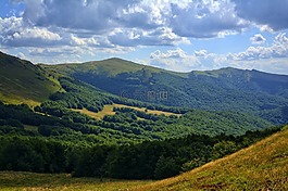 bieszczady,tarnica,榉木berdo