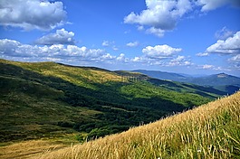 bieszczady,tarnica,榉木berdo