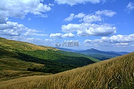 bieszczady,tarnica,榉木berdo