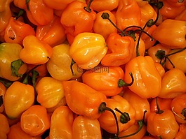 辣椒紅辣椒,哈瓦那,辣椒 pepppers