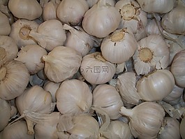 大蒜,丁香,香料