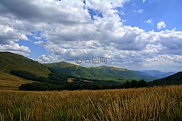 bieszczady,tarnica,榉木berdo