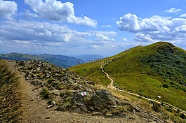 bieszczady,tarnica,榉木berdo