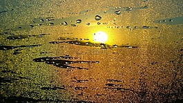 日出,雨,抽象