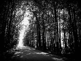 路,灰色,街