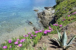 歐洲,希臘,海