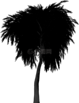 側(cè)影,垂柳,樹