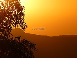 佩特拉,約旦,假期