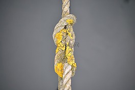 節(jié),皮帶,繩