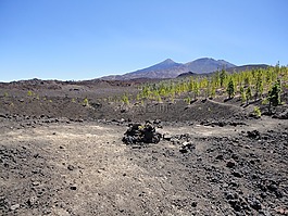 泰德,特內(nèi)里費,火山