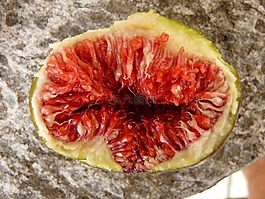無(wú)花果,水果,吃