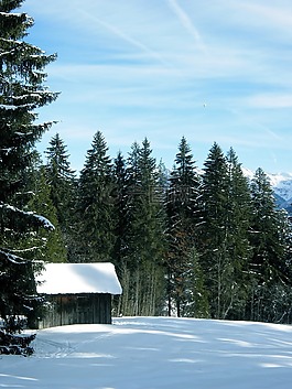 雪,冬天,riezlern