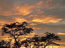 日落,云,天空
