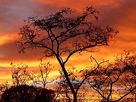 太陽(yáng),日落,天空