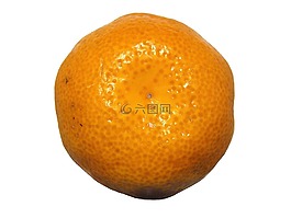 普通話,柑橘類水果,水果