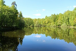 湖,性質(zhì),景觀