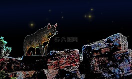 狼,神秘,幻想