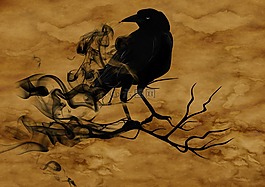 乌鸦,夜,令人毛骨悚然