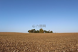 麥田,收獲,秋季