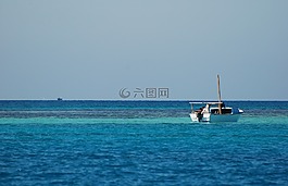 埃及,夏天,水