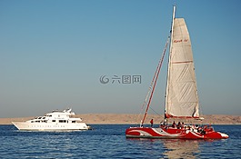 埃及,夏天,水