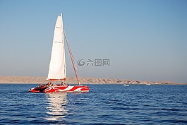 埃及,夏天,水