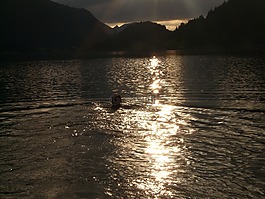 湖,游泳,黑