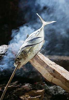 魚,假期,南斯拉夫聯(lián)盟共和國(guó)