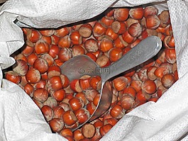 榛子,堅(jiān)果,食品