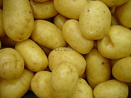土豆,蔬菜,原料