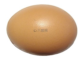 雞蛋,蛋殼,蛋白質