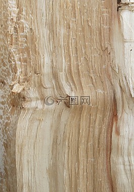 木材,紋理,樹