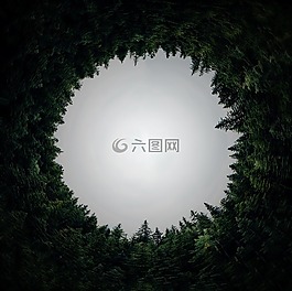圓形,森林,尺寸