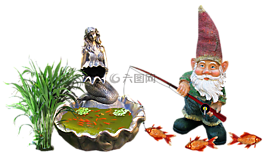 侏儒,魚(yú),池
