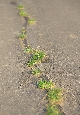 路,狀態,缺陷