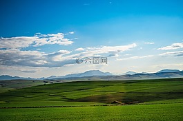 牧場,字段,景觀