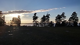 ekeberg,森林,性质