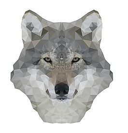 狼,冬天,動物
