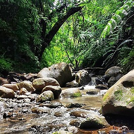 自然,和平,寧靜