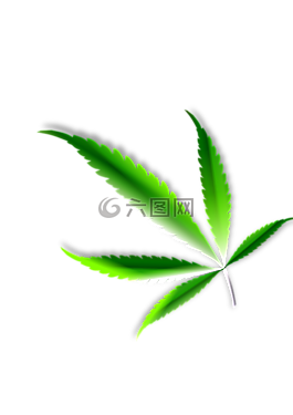 葉子,綠色,草