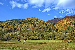 波蘭,pieniny,秋