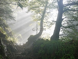 崛起,早上,霧