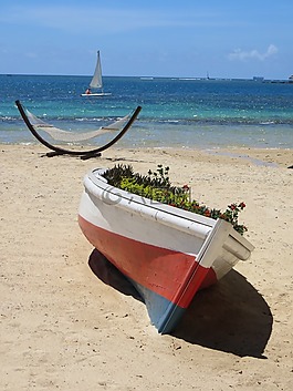 假期,海灘,夏季