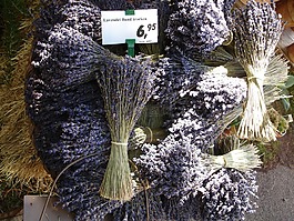 熏衣草,一束薰衣草,香味
