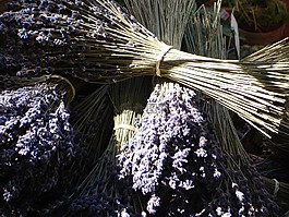 熏衣草,一束薰衣草,香味