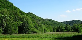 dolinkab?dkowska,波蘭,景觀