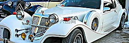 旗幟,而作,汽車