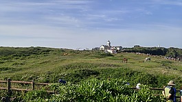 舒適seopji,濟(jì)州島,大韓民國